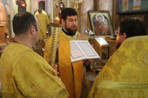 8 октября, Сергиев Посад. В день памяти преподобного Сергия Радонежского митрополит Санкт-Петербургский и Ладожский Варсонофий совершил Божественную литургию в Свято-Троицком соборе Троице-Сергиевой лавры. В день памяти святого преподобного Сергия Радонежского архиепископ Димитрий принял участие в Литургии в Троице-Сергиевой лавре Его Высокопреосвященству сослужили митрополит Саранский и Мордовский Зиновий, архиепископ Витебский и Оршанский Димитрий, епископы Кронштадтский Вениамин, викарий Санкт-Петербургской епархии, Волжский и Сернурский Феофан, Джанкойский и Раздольненский Алексий, насельники лавры, паломники в священном сане. Пел мужской хор Московской духовной академии. Перед ракой с мощами преподобного Сергия был отслужен праздничный молебен. В день памяти святого преподобного Сергия Радонежского архиепископ Димитрий принял участие в Литургии в Троице-Сергиевой лавре Архипастырь обратился к молящимся со словом. Божественные литургии проходили во всех храмах лавры с участием архиереев. Святейший Патриарх Кирилл возглавил богослужение в Успенской соборе. Санкт-Петербургская Епархия Русской Православной Церкви